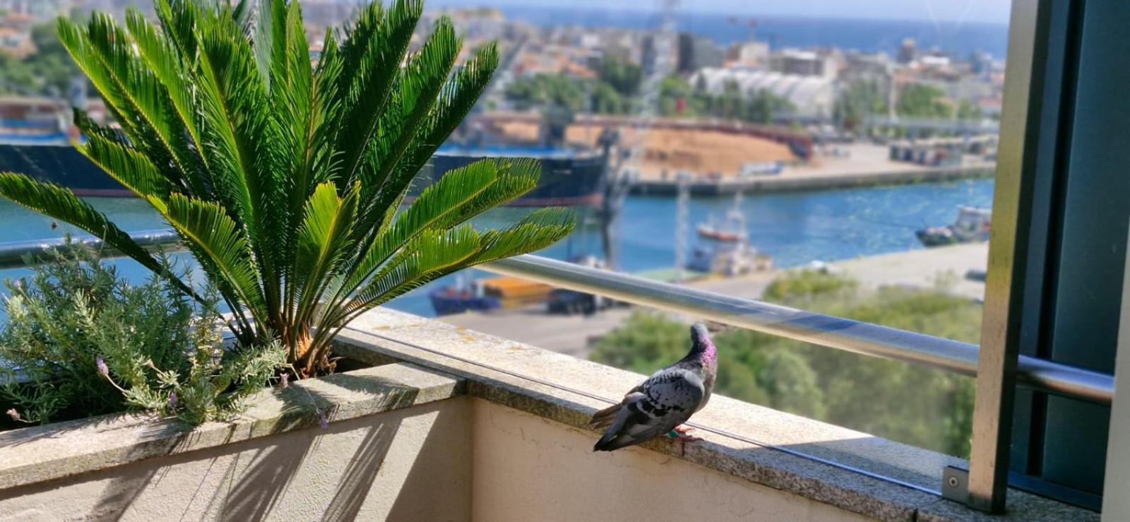 Great Apartment Belavista Leça da Palmeira Dış mekan fotoğraf